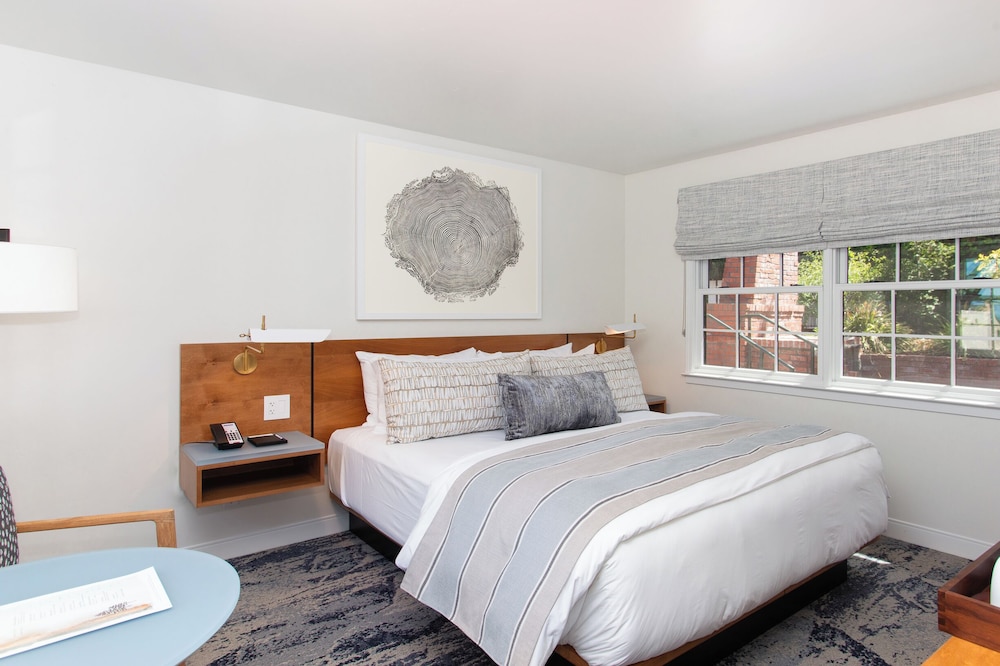 Standard Single Room, 1 King Bed