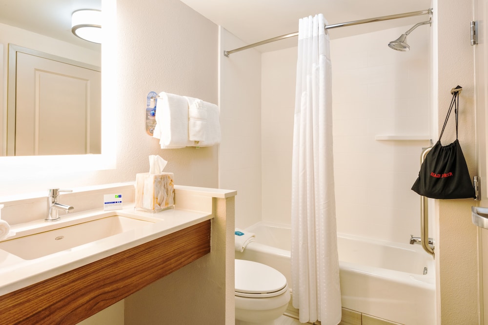 Suite, 1 Bedroom - Photo 5
