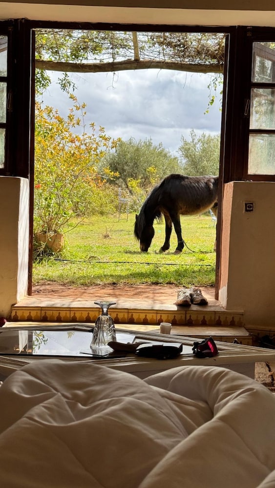 Superior Double Room, Resort View