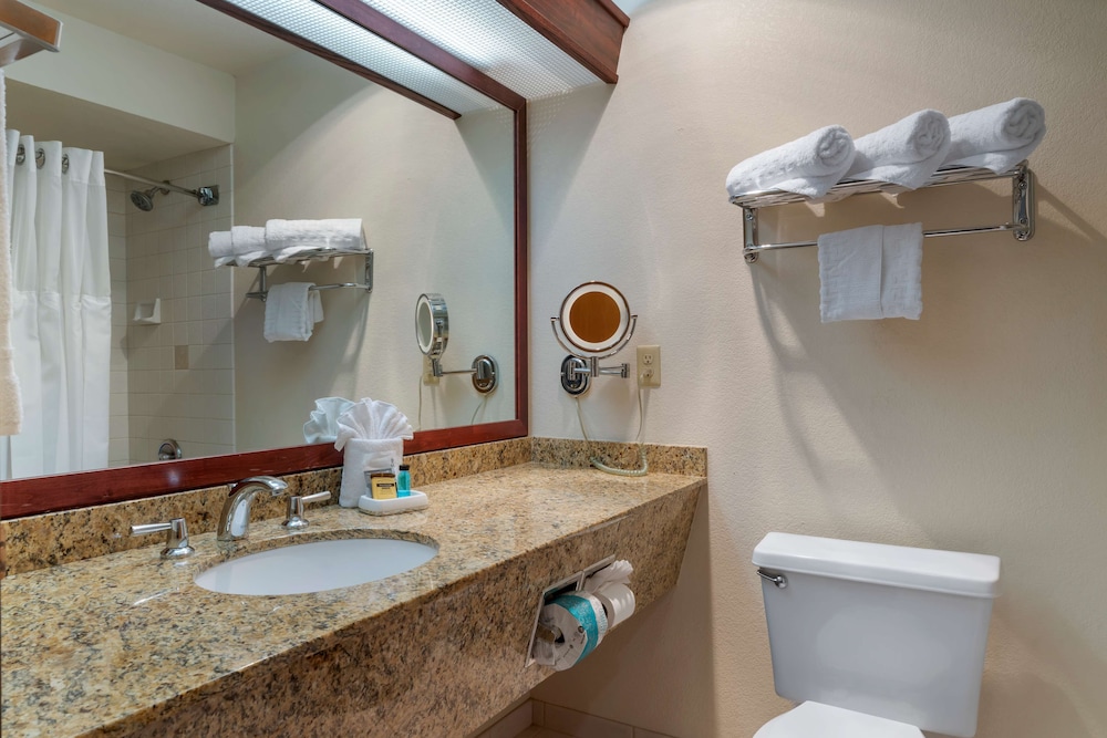 Standard Room, 1 King Bed, Non Smoking, Refrigerator & Microwave (Oversized Room) - Photo 3