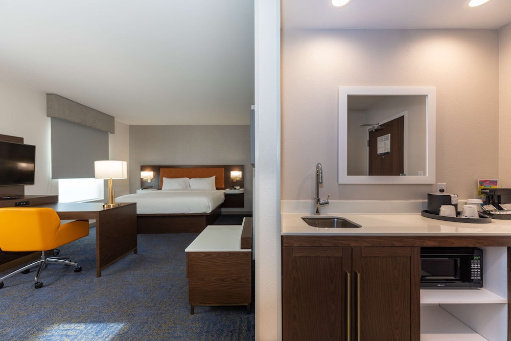 Suite, 1 King Bed, Accessible, Refrigerator & Microwave (Refrigerator & Microwave) - Photo 7