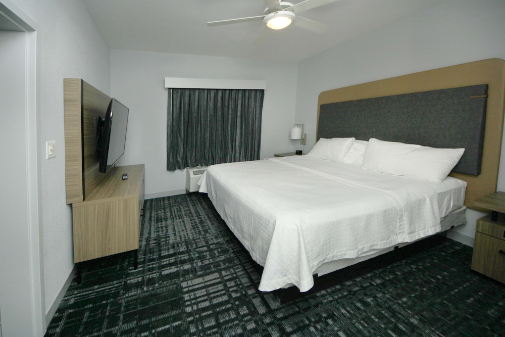 Suite, 1 Bedroom