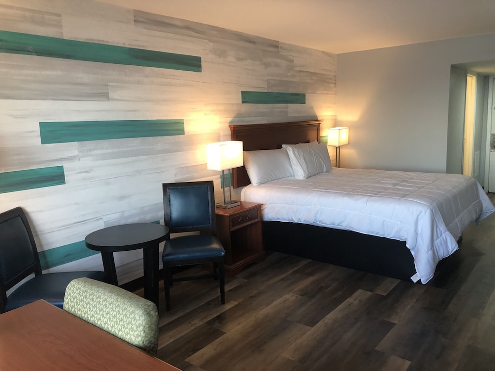 Signature Studio, 1 King Bed, Non Smoking, Oceanfront photo 3