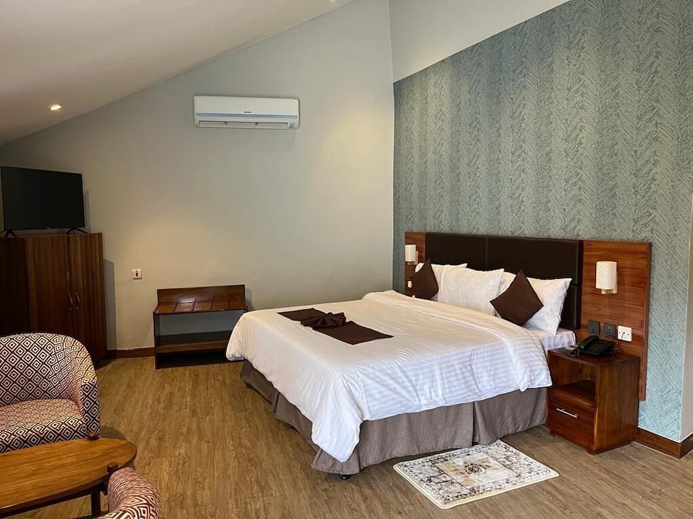 Junior Studio Suite
