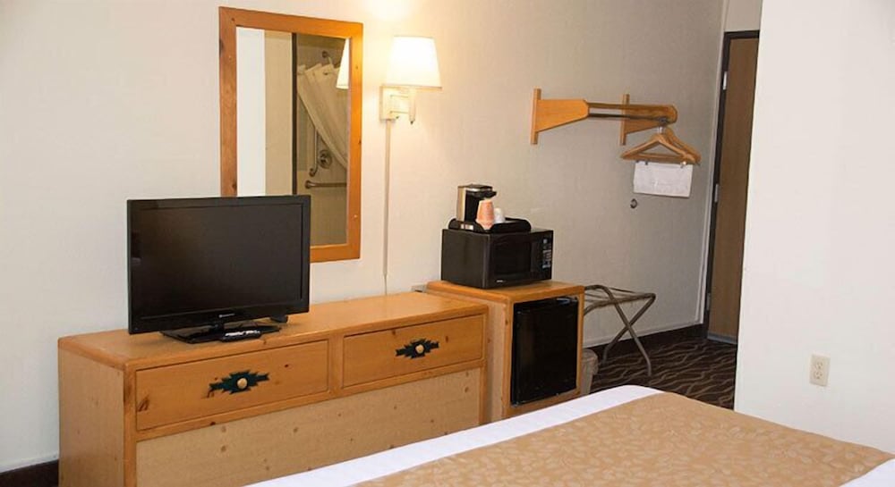 Room, One King Bed, Accessible Roll in Shower, Non Smoking photo 2