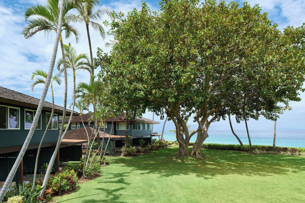 Studio Suite, Oceanfront (Royal Bungalow)