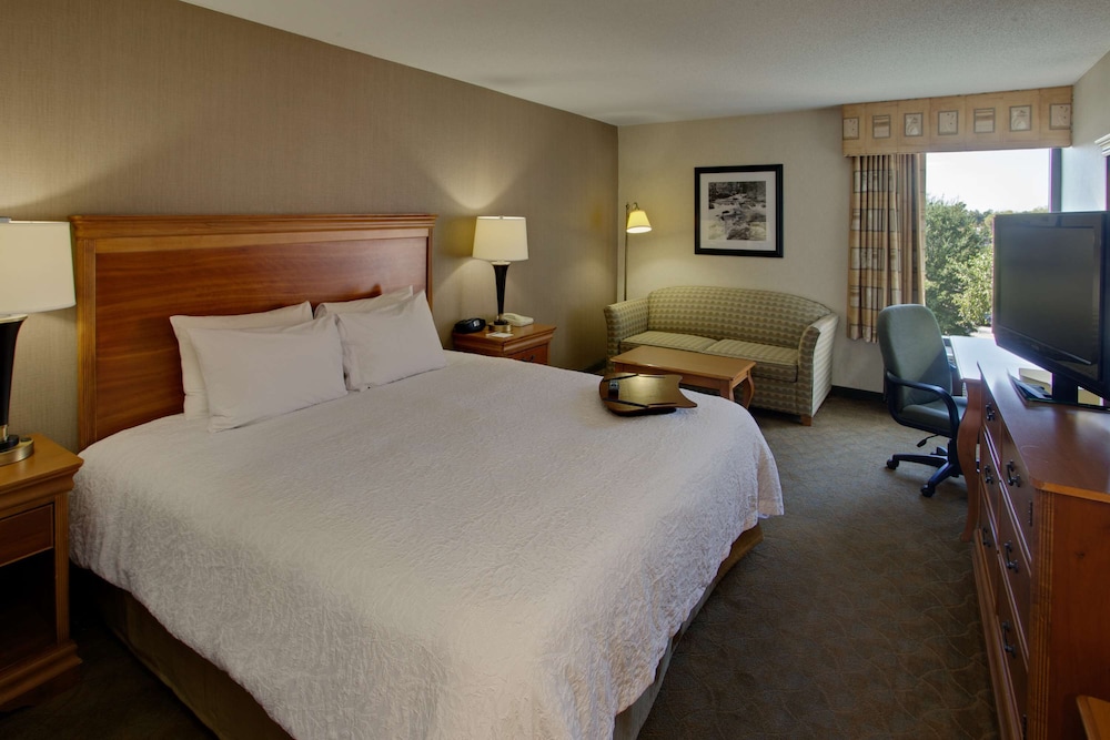 Room, 1 King Bed, Accessible, Non Smoking (Mobility/Hearing, Roll In Shower) - Photo 4