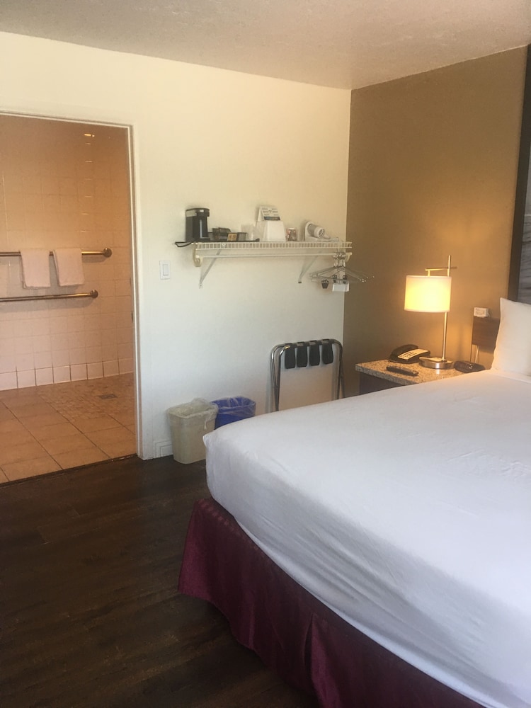 Standard Single Room, 1 Twin Bed, Accessible - Photo 3