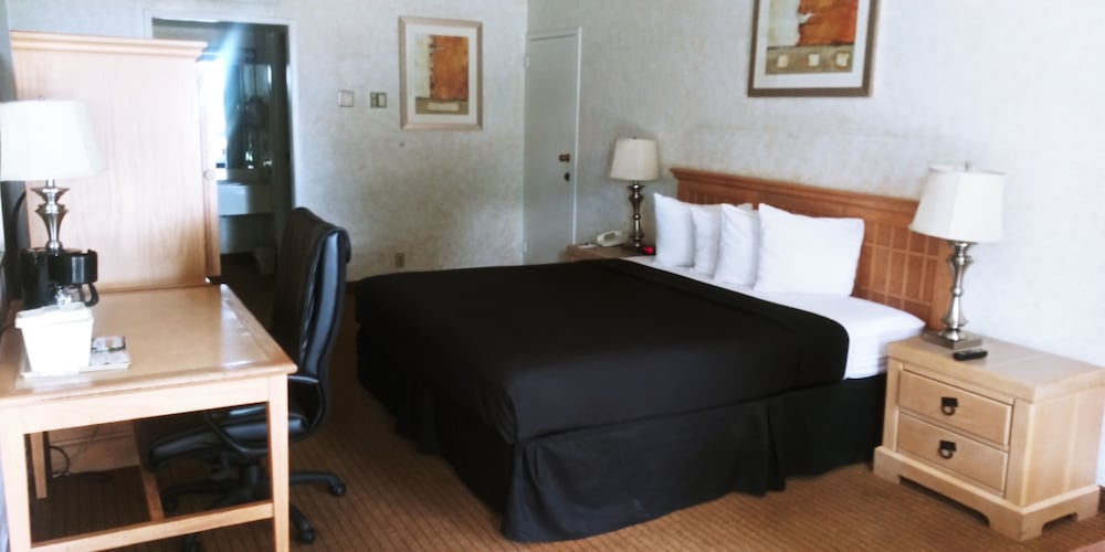 Standard Room, 1 King Bed, Smoking photo 2
