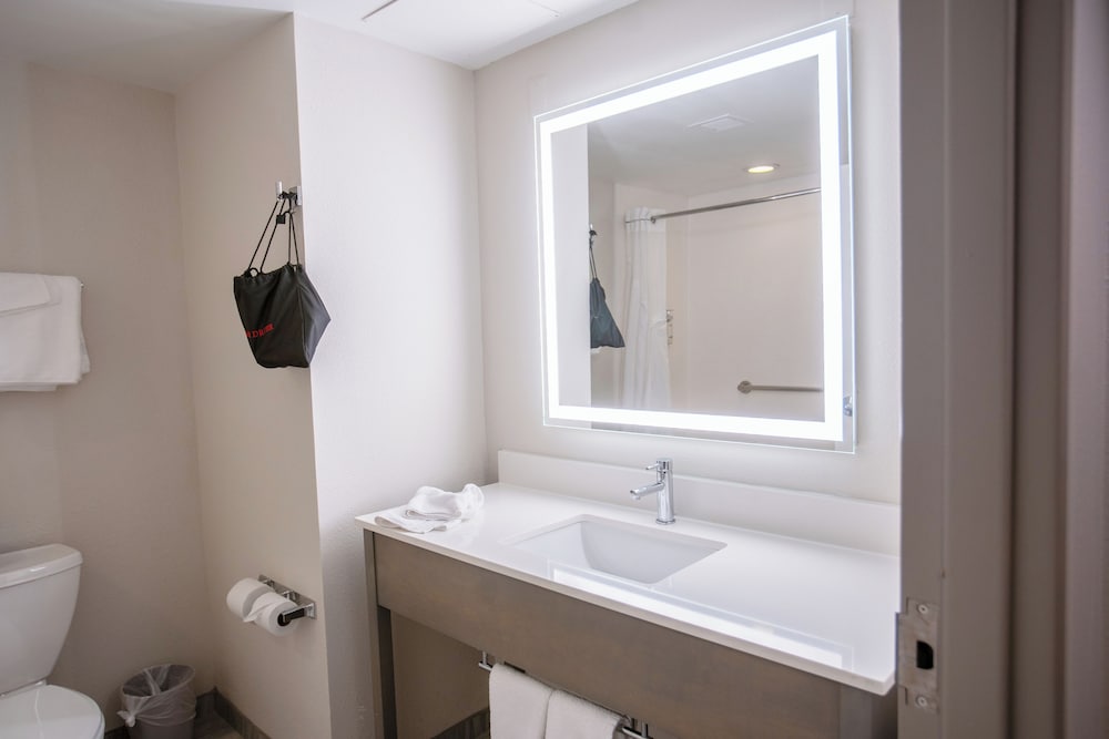 Standard Room, 1 King Bed, Accessible (Communications Accessible) - Photo 3