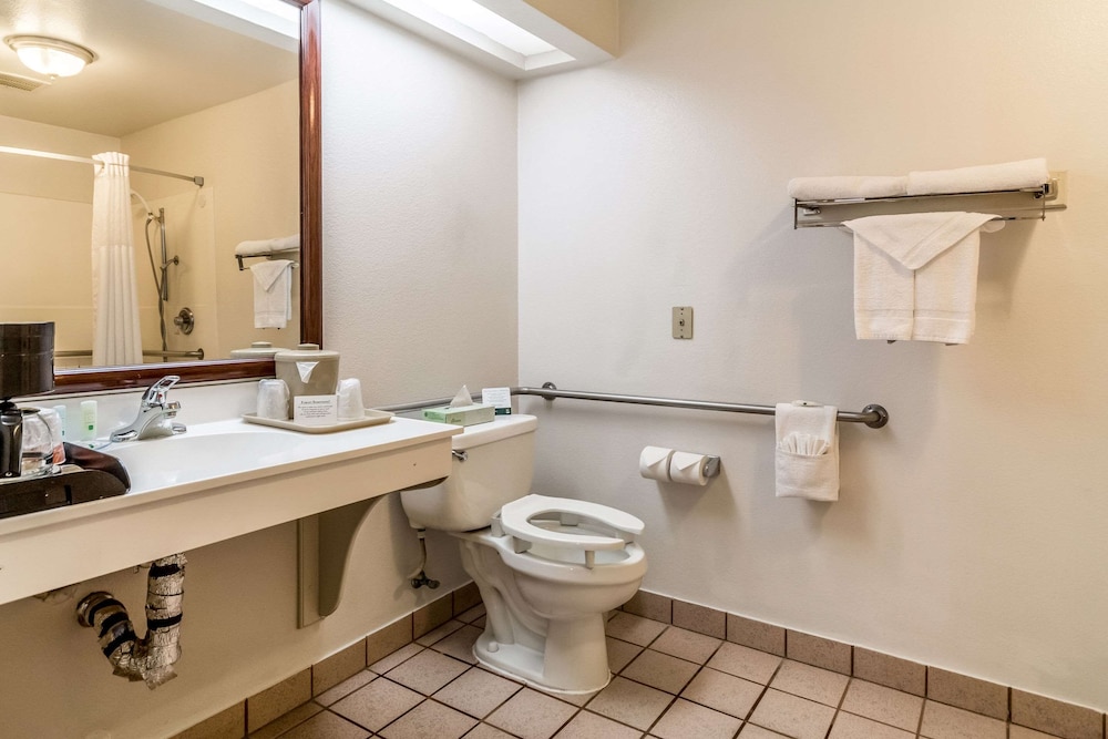 Room, 1 King Bed, Accessible, Non Smoking (Efficiency) - Photo 4
