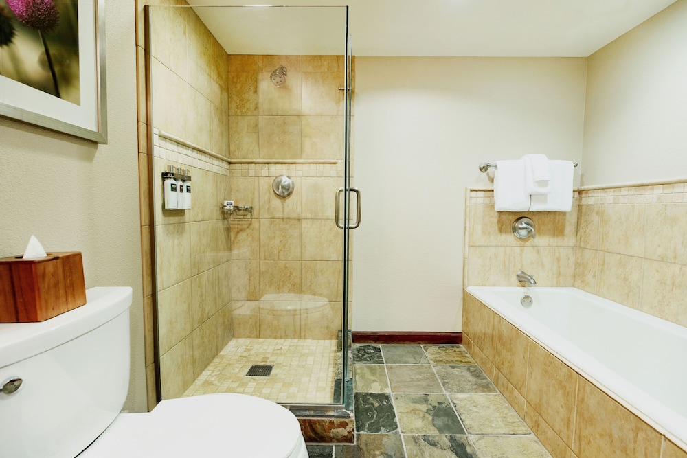 Suite, Fireplace, Valley View - Photo 2