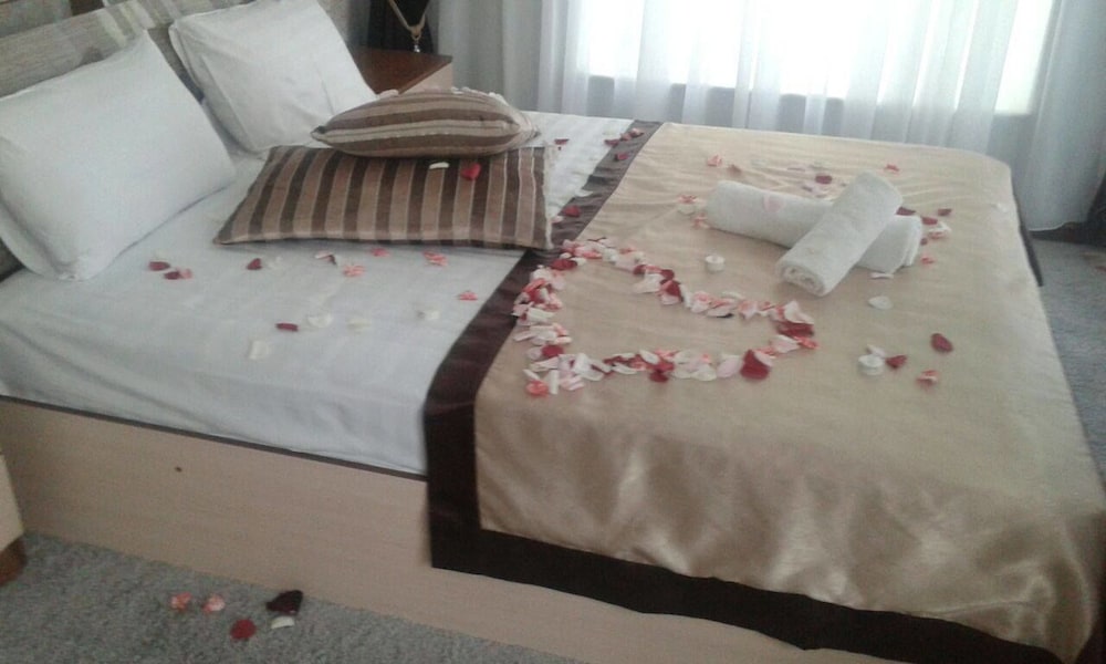 Deluxe Double Or Twin Room photo 2