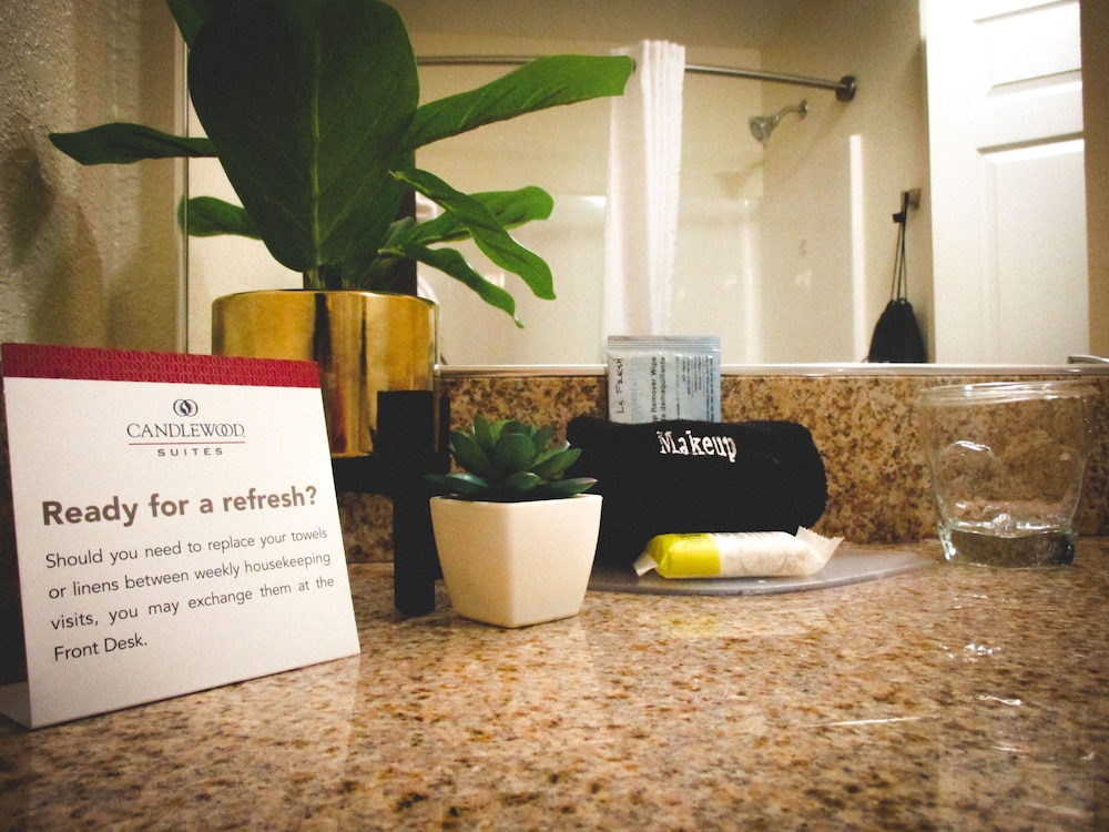 Suite, 1 Bedroom, Accessible Bathtub (Communications, Mobility) - Photo 7