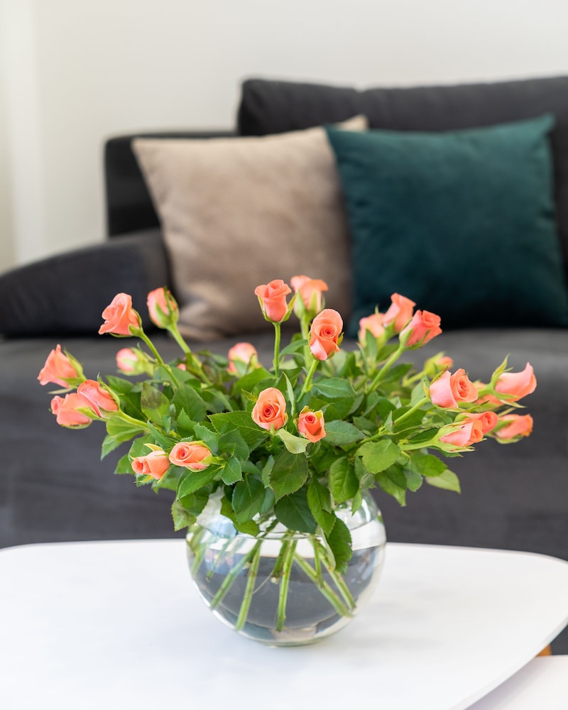 Superior Apartment photo 3