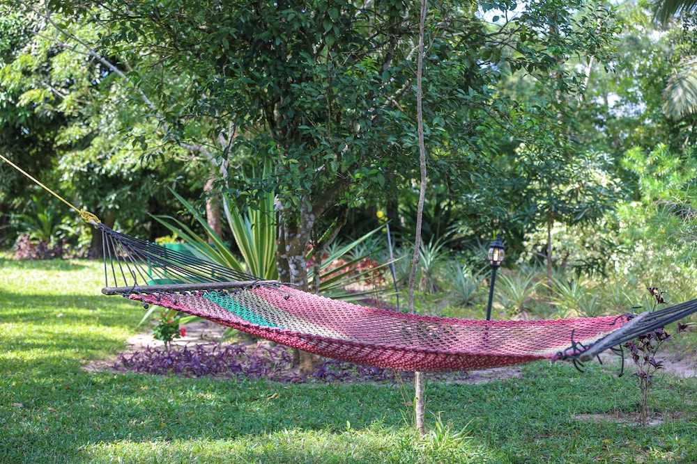 Deluxe Double Room, Garden View photo 1