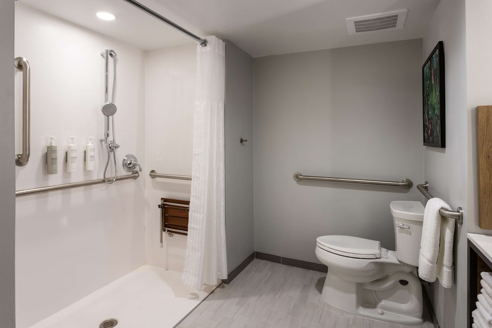 Room, 1 King Bed, Accessible, Balcony (Roll-In Shower) - Photo 2