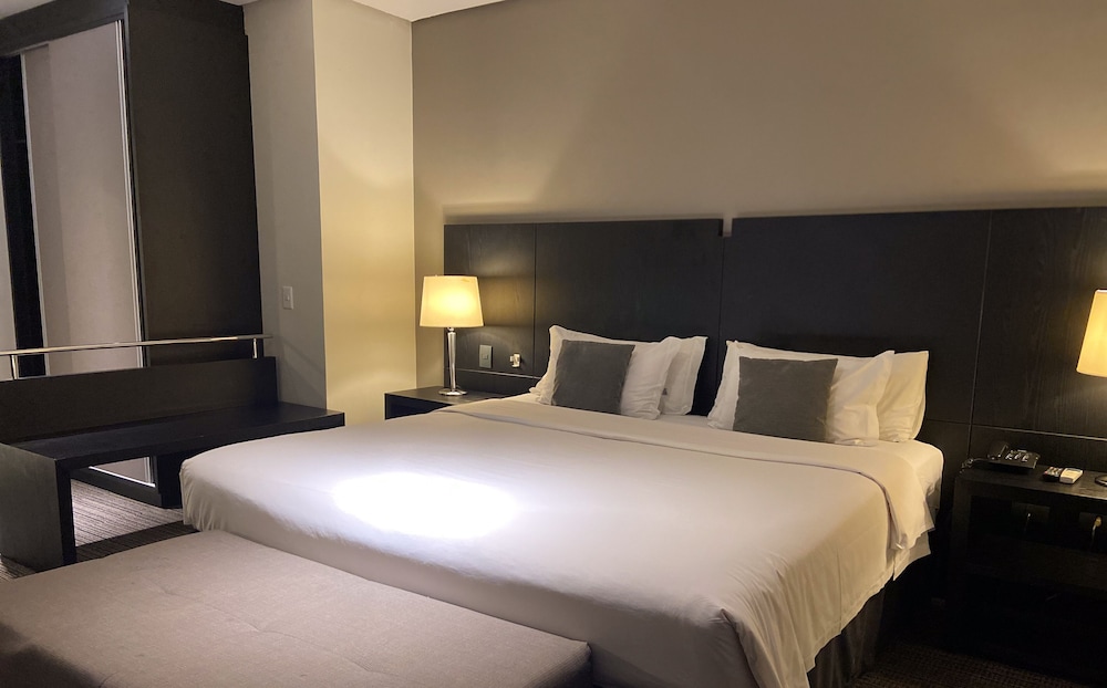 Basic Suite - Photo 7