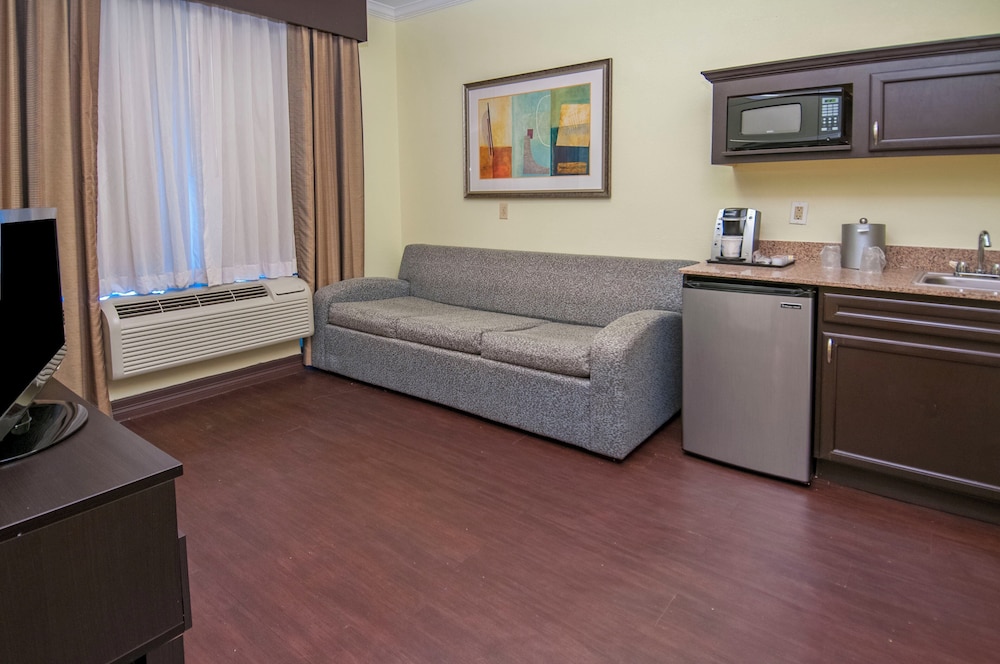 Suite, 1 King Bed - Photo 4