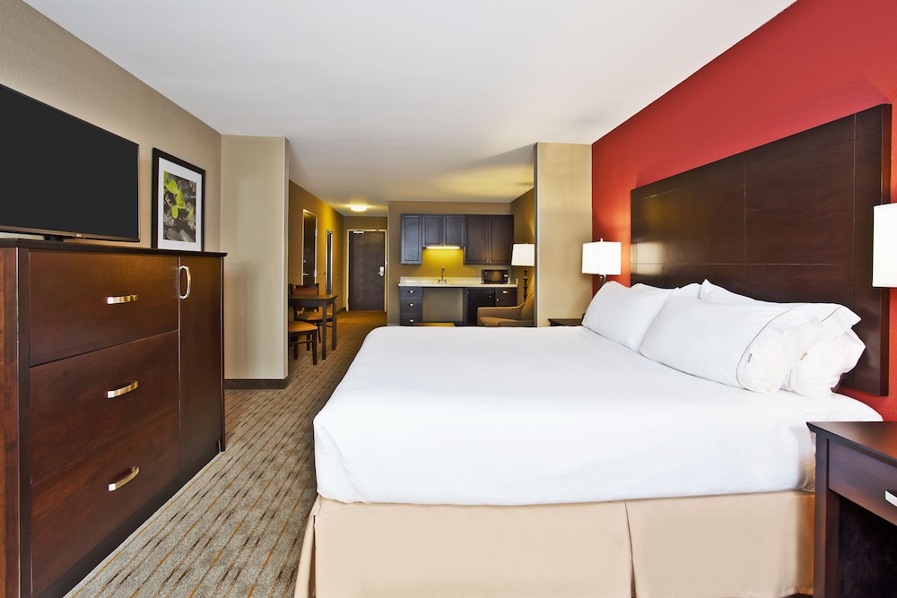 Suite, 1 King Bed, Non Smoking photo 1