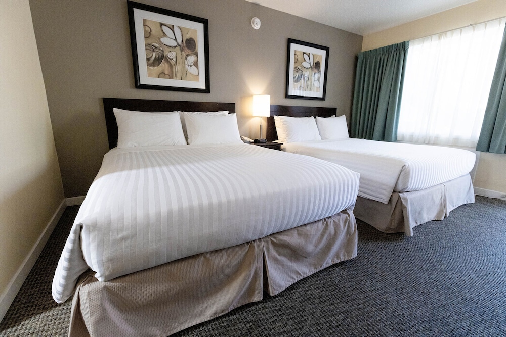 Economy Double Room photo 1