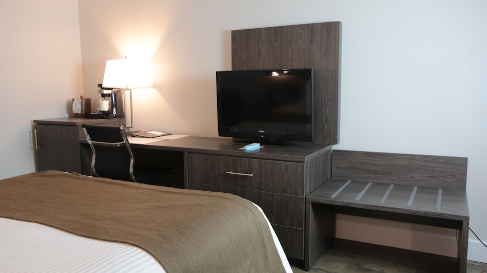 Standard Room, 1 Queen Bed, Non Smoking, Refrigerator (Shower only)