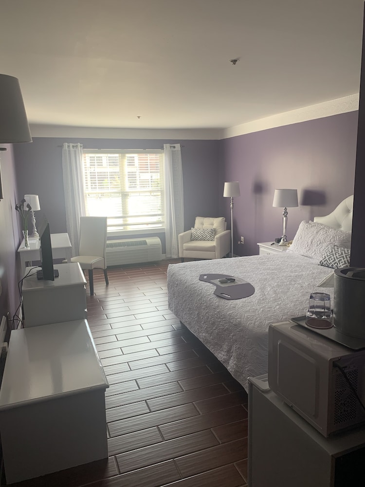Standard Room, 1 King Bed, City View photo 3