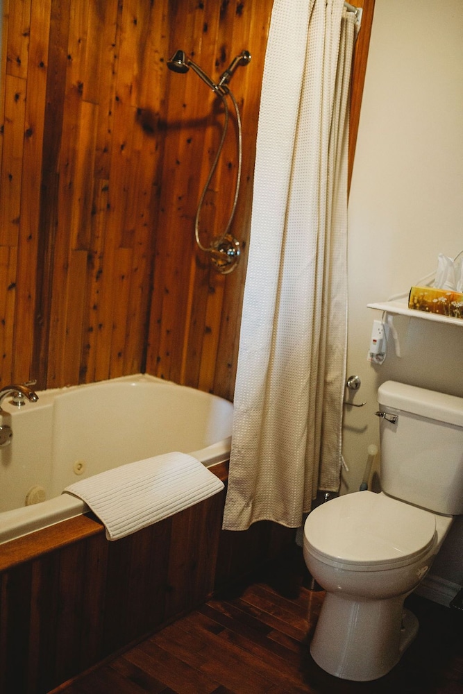 Deluxe Room photo 3