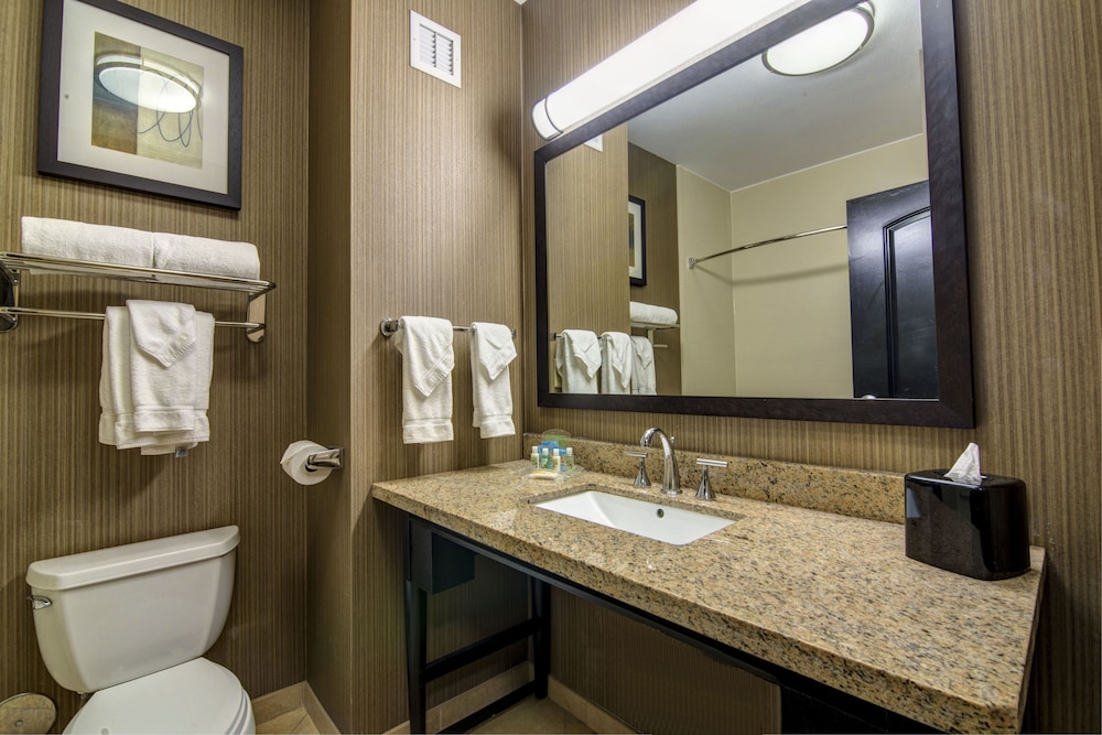 Standard Room, 1 King Bed, Jetted Tub - Photo 4