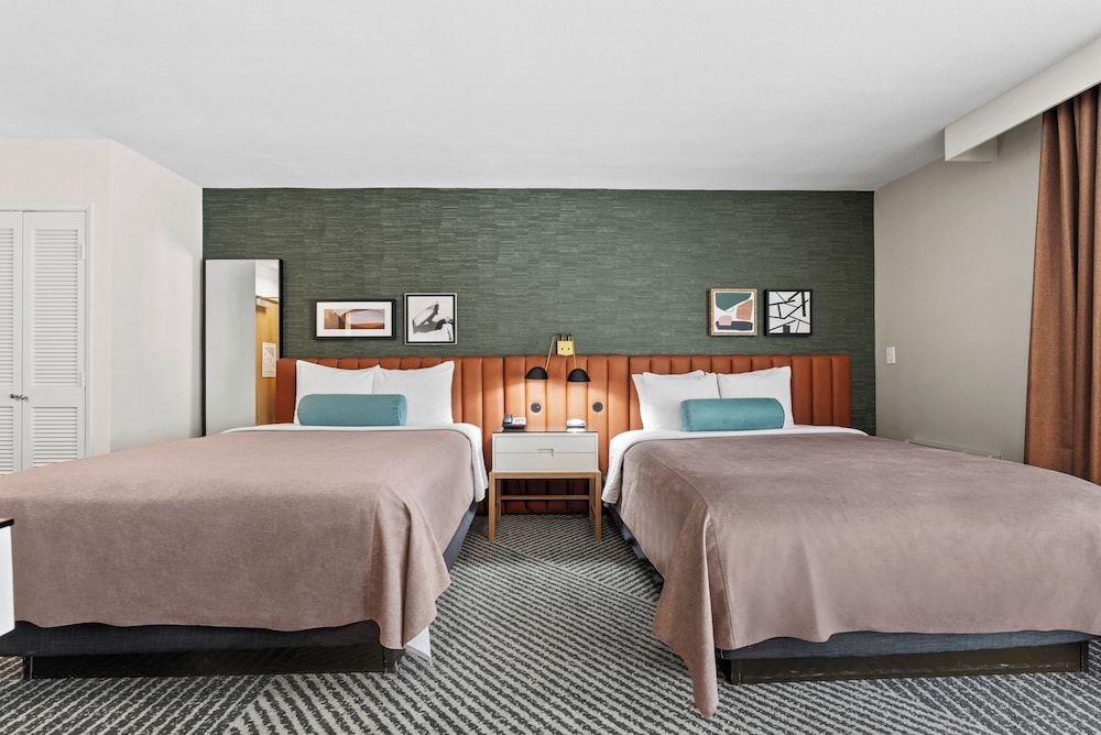 Standard Double Room, 2 Queen Beds photo 2