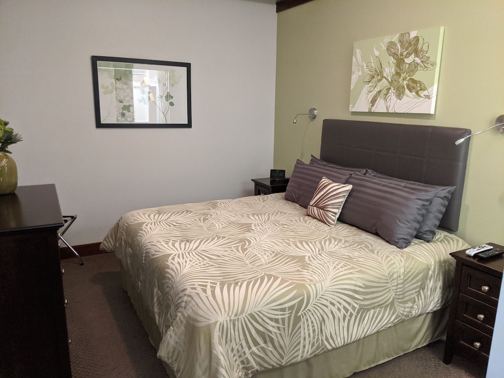 Luxury Suite, Private Bathroom (The Michigan) photo 2