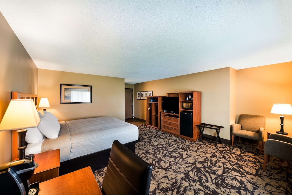 Standard Room, 1 King Bed, Non Smoking, Refrigerator & Microwave photo 1