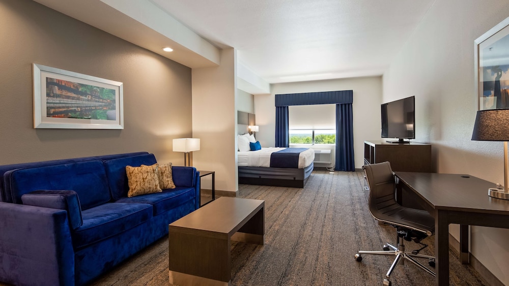 Suite, 1 King Bed, Non Smoking, Refrigerator & Microwave (Shower Only) photo 3