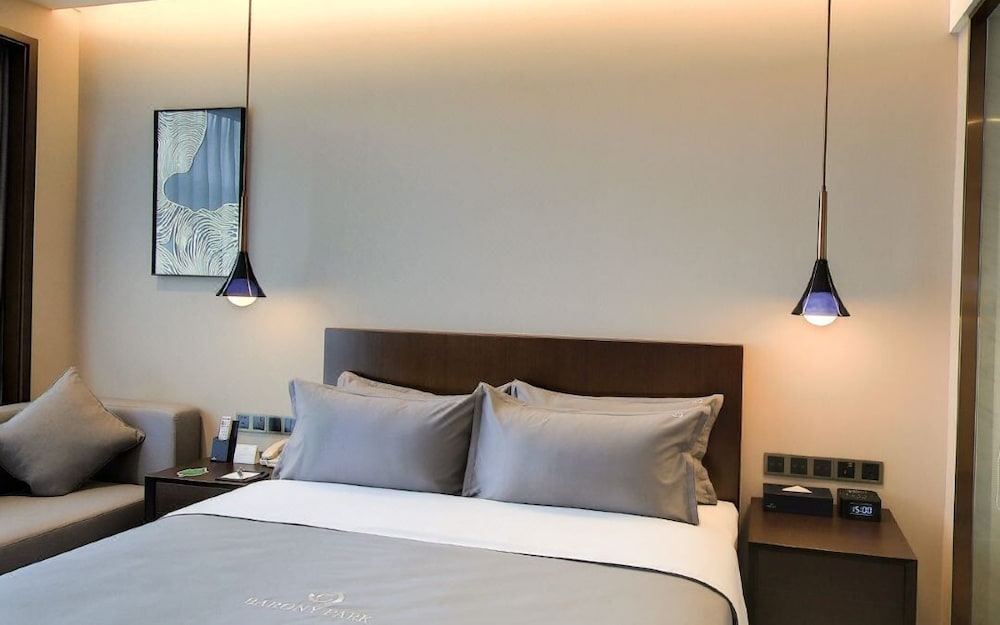 Comfort Single Room photo 3