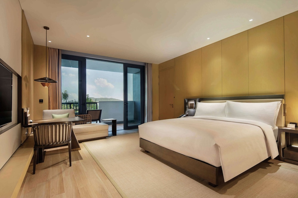 Room, 1 King Bed