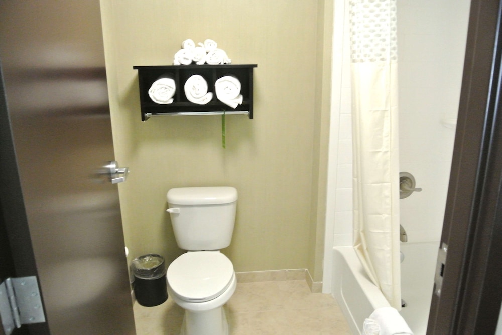 Studio, Accessible, Non Smoking photo 1