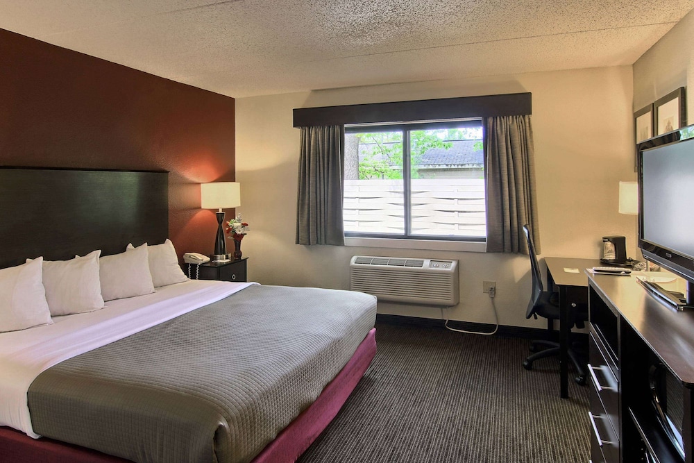 Basic Room, 1 King Bed, Accessible photo 1