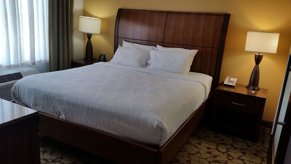 Deluxe Suite, 1 King Bed photo 2
