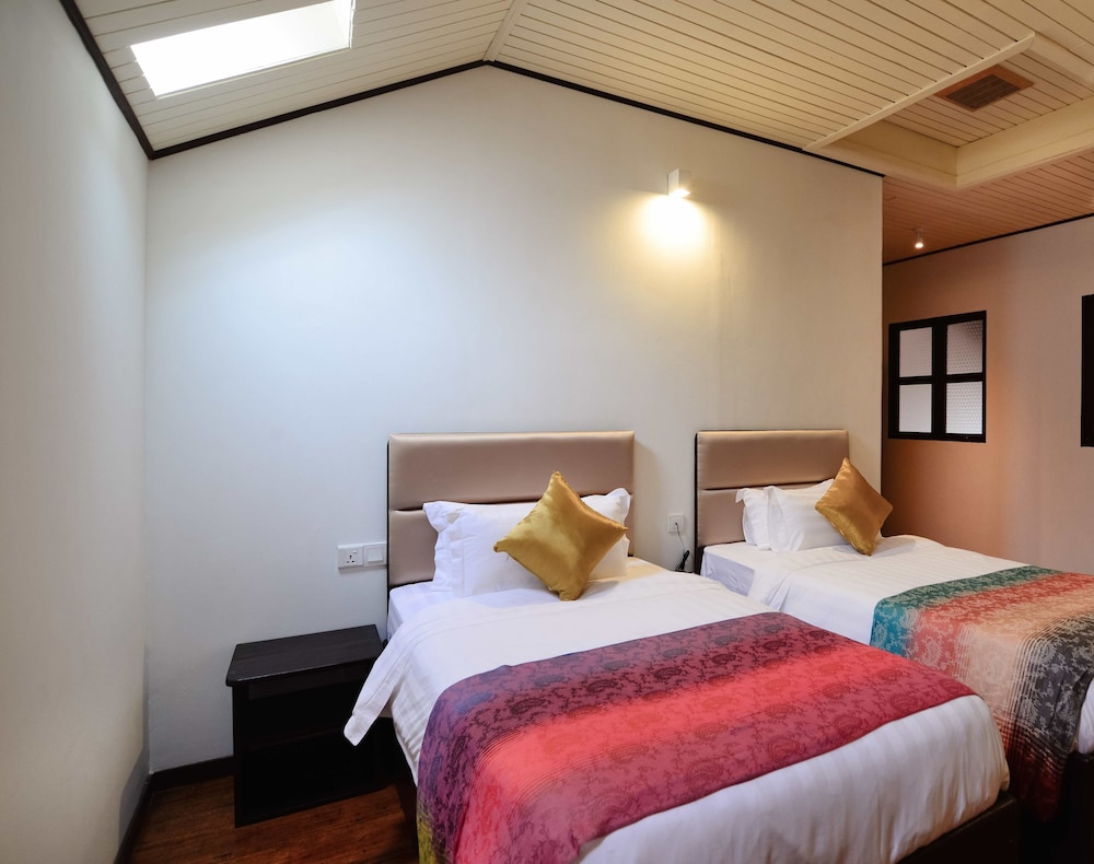 Swiftlet Gold Loft photo 3