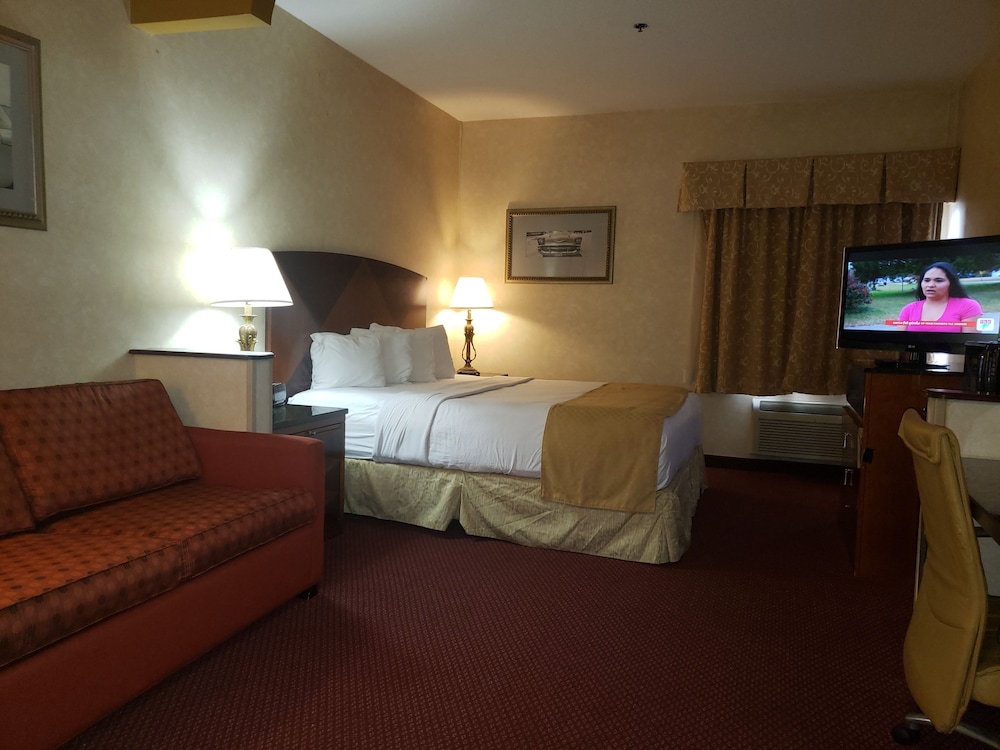 One Bed Suite photo 2