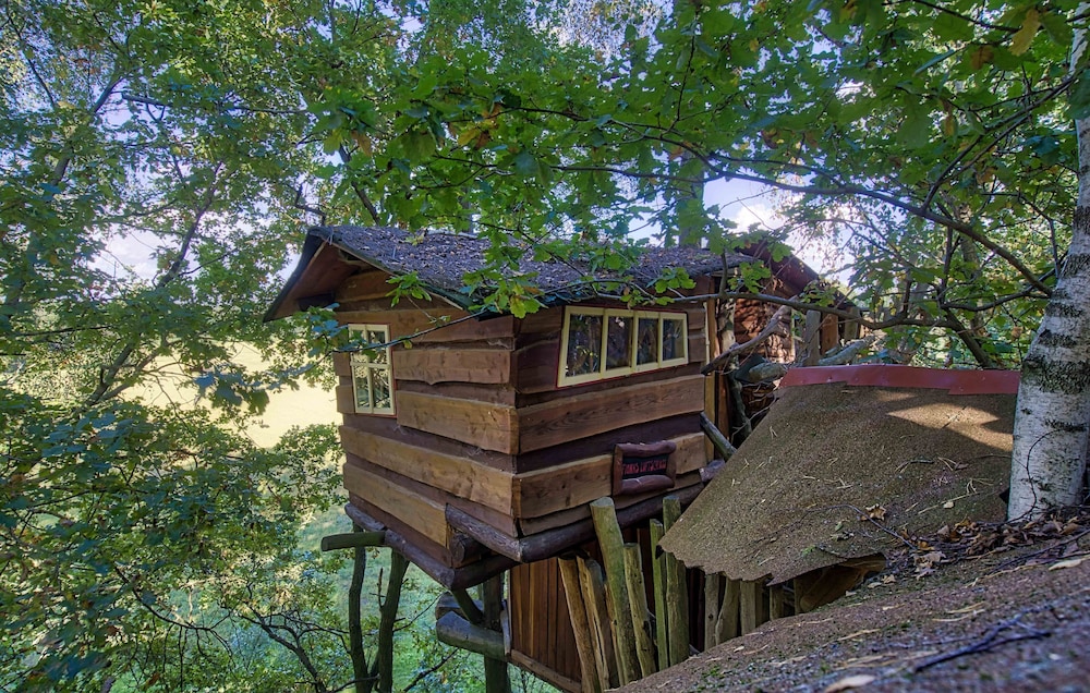 Comfort Tree House photo 2