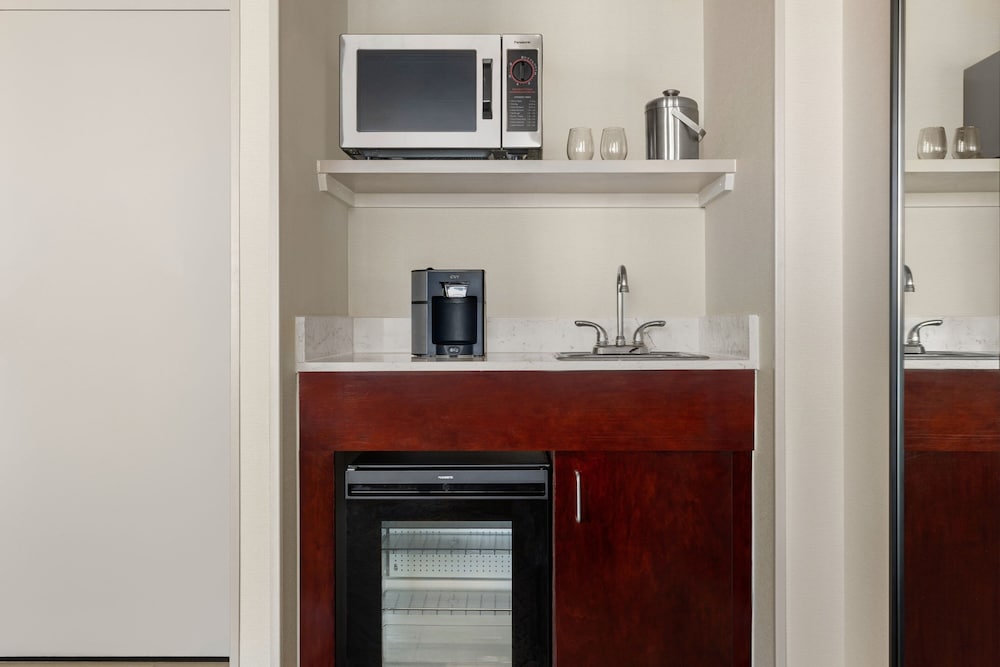 Suite, 1 Bedroom - Photo 4