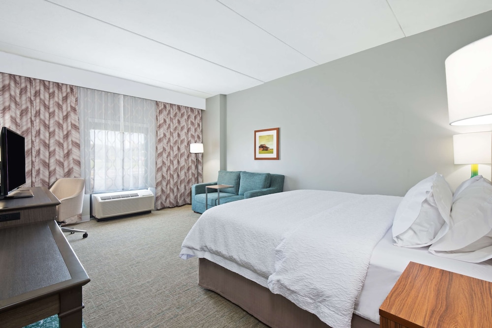 Room, 1 King Bed, Non Smoking, Refrigerator