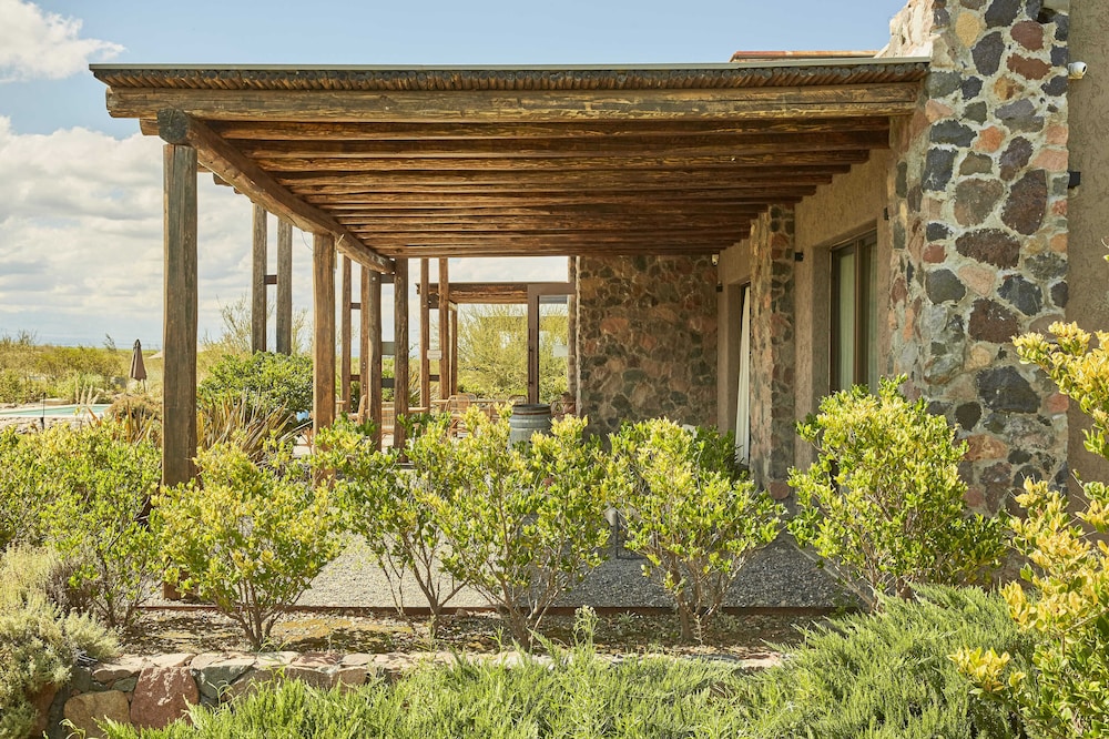 Deluxe Studio Suite, Mountain View (LOS CULILLOS) photo 3
