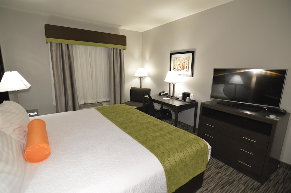 Standard Room, 1 King Bed, Non Smoking, Kitchenette photo 1
