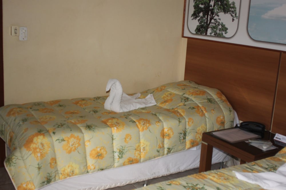 Deluxe Room photo 2