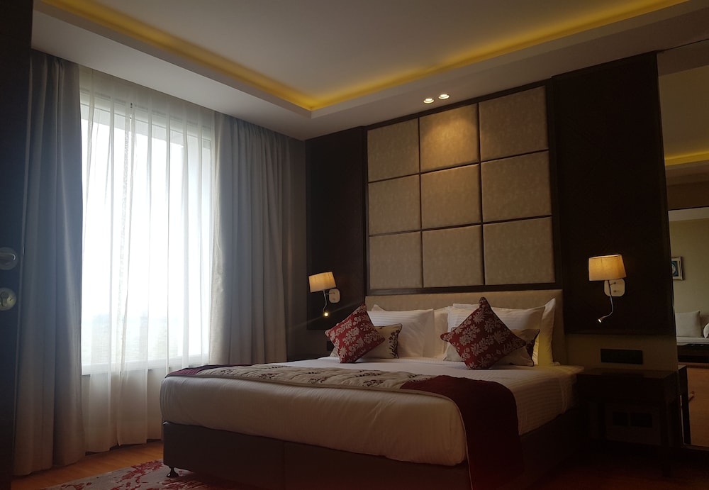 Suite - Photo 1