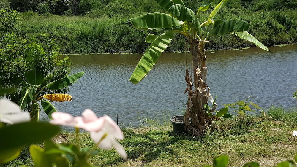 Phalaburi No.2 photo 3