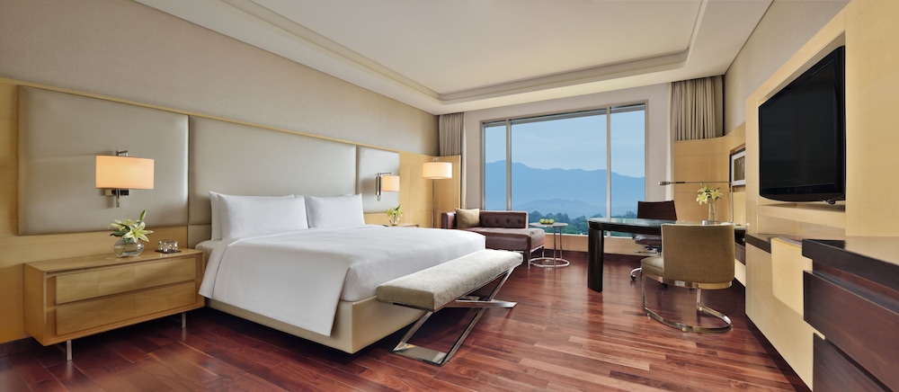 Executive Room, 1 King Bed - Photo 4