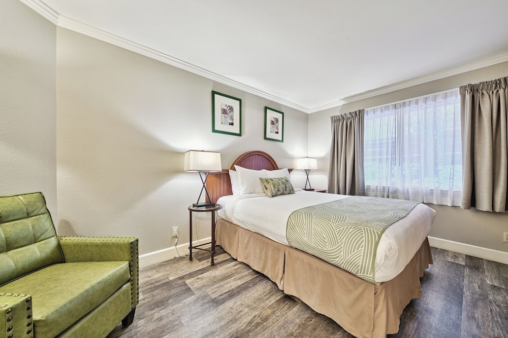 Deluxe Suite, 2 Bedrooms (ADA) - Photo 7